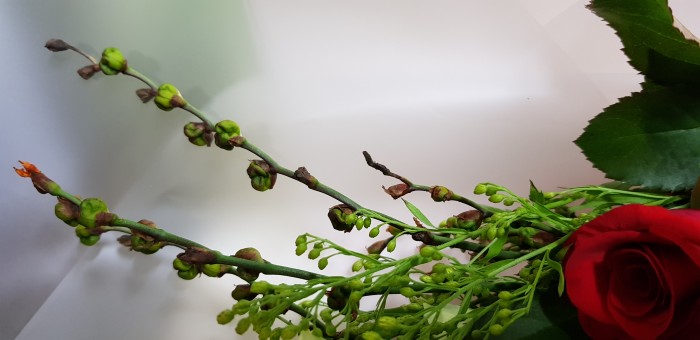 0ba675d3403bb9e57c14918de944b540_1535465067_13.jpg